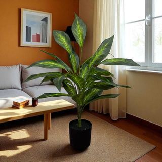 (Category: ) located in . Submitted by altonflowerscomm (Listing ID 1384475770, Image 1). Description: .
