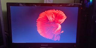 (Category: ) located in . Submitted by carlos.daniel (Listing ID 1384541679, Image 1). Description: .