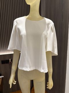 (Category: ) located in . Submitted by Plant_Oppa (Listing ID 1384579991, Image 1). Description: .