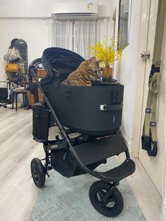 （分類：）位於 。 由 mandadaa 提交（商品編號 1389685245，圖片 1）。簡介： 。