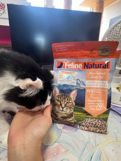 （分類：）位於 。 由 pancymeow 提交（商品編號 1389773208，圖片 1）。簡介： 。