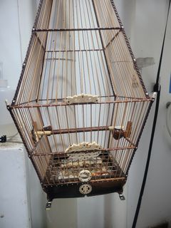 (Category: ) located in . Submitted by singahobbies (Listing ID 1389790691, Image 1). Description: .