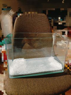 (Category: ) located in . Submitted by neilteh5147 (Listing ID 1389969246, Image 1). Description: .