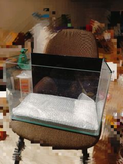 (Category: ) located in . Submitted by neilteh5147 (Listing ID 1389971189, Image 1). Description: .