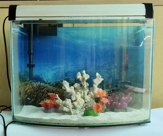 (Category: ) located in . Submitted by alwaysbelucky (Listing ID 1389977061, Image 1). Description: .