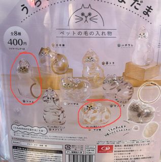（分類：）位於 。 由 karinaaacc 提交（商品編號 1389952347，圖片 1）。簡介： 。