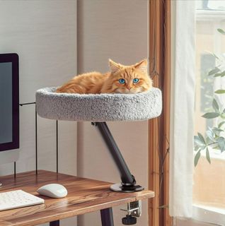 (Category: ) located in . Submitted by sarayangdesign (Listing ID 1389949957, Image 1). Description: .