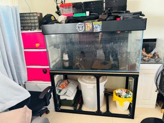 (Category: ) located in . Submitted by keath1207 (Listing ID 1389857417, Image 1). Description: .