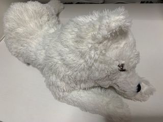 （分類：）位於 。 由 mann3456 提交（商品編號 1390008954，圖片 1）。簡介： 。