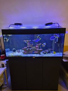 (Category: ) located in . Submitted by elurea (Listing ID 1390010727, Image 1). Description: .