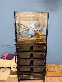 （分類：）位於 。 由 jawbone12 提交（商品編號 1389978545，圖片 1）。簡介： 。