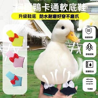 由 ez67326683182 (刊登 ID 1384742507，圖片 1) 提交，位於 的 (類別：)，說明：。