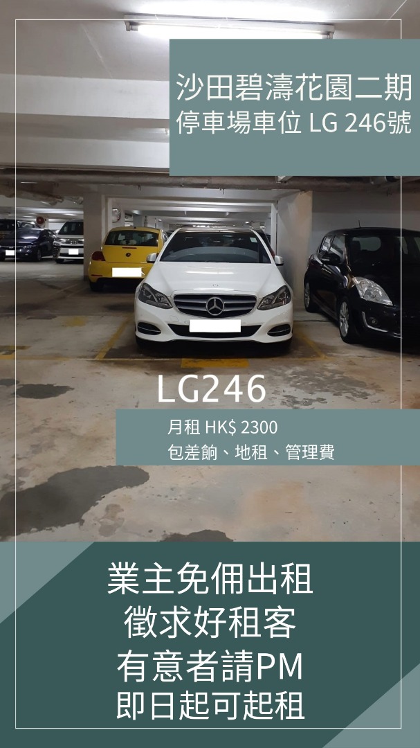 （分類：）位於 。 由 theo579 提交（商品編號 1384710836，圖片 1）。簡介： 。