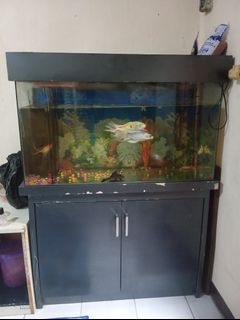 (Kategori: ) berada di . Dikirim oleh lindastore028 (ID iklan 1384713232, Gambar 1). Deskripsi: .