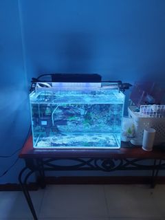 (Category: ) located in . Submitted by bbykenzo (Listing ID 1384768688, Image 1). Description: .