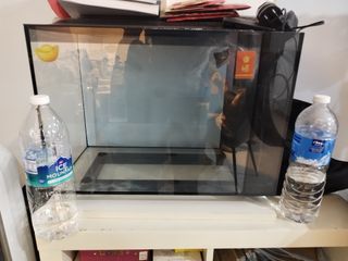 (Category: ) located in . Submitted by yong5103 (Listing ID 1384773334, Image 1). Description: .