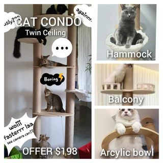 (Category: ) located in . Submitted by petstyle888 (Listing ID 1384821043, Image 1). Description: .