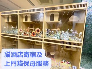 （分類：）位於 。 由 zerotohero 提交（商品編號 1384782505，圖片 1）。簡介： 。