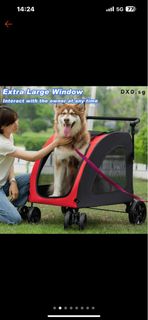(Category: ) located in . Submitted by pigsducksrabbits (Listing ID 1384694607, Image 1). Description: .
