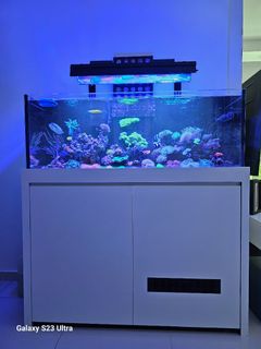 (Category: ) located in . Submitted by onestoppp (Listing ID 1384727248, Image 1). Description: .