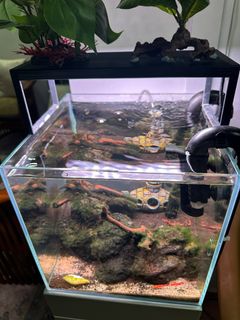 (Category: ) located in . Submitted by galaxy8888 (Listing ID 1384649438, Image 1). Description: .