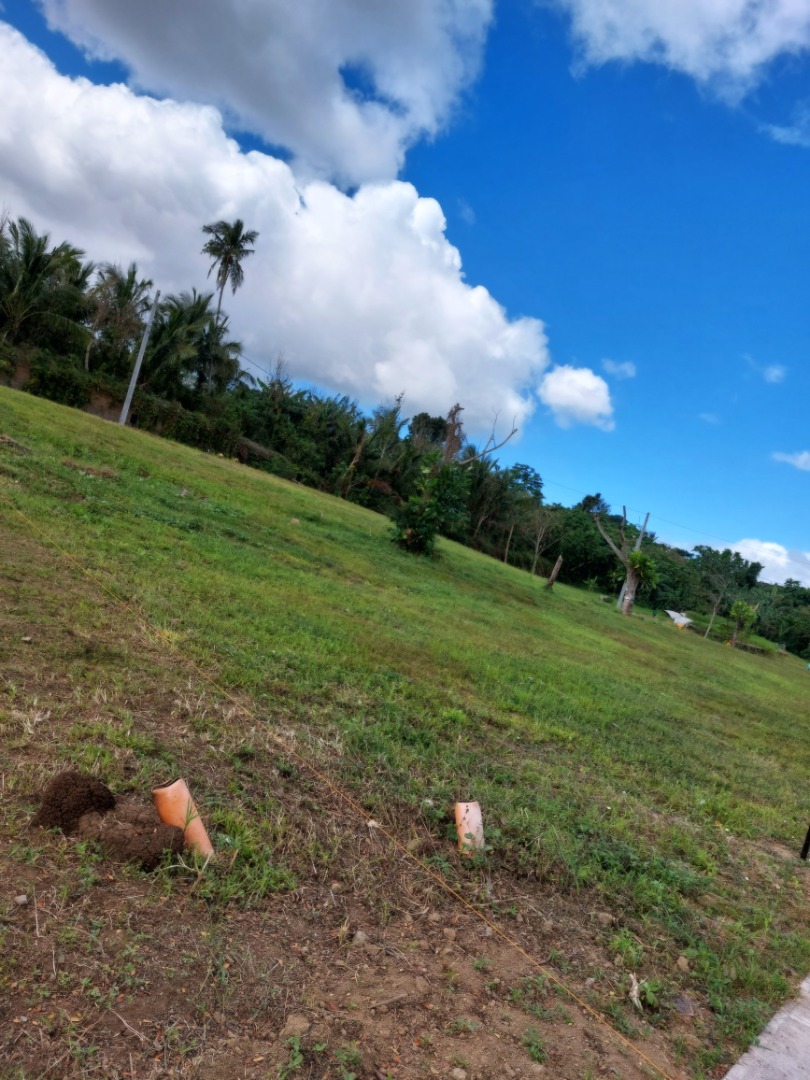 (Category: ) located in . Submitted by luigi-09209064984 (Listing ID 1384829218, Image 1). Description: .