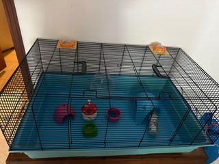 (Category: ) located in . Submitted by fastsell1234 (Listing ID 1384716854, Image 1). Description: .