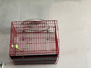 (Kategori: ) berada di . Dikirim oleh belanjabosenjual (ID iklan 1384717051, Gambar 1). Deskripsi: .