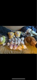 （分類：）位於 。 由 tsebasa1217 提交（商品編號 1384686717，圖片 1）。簡介： 。