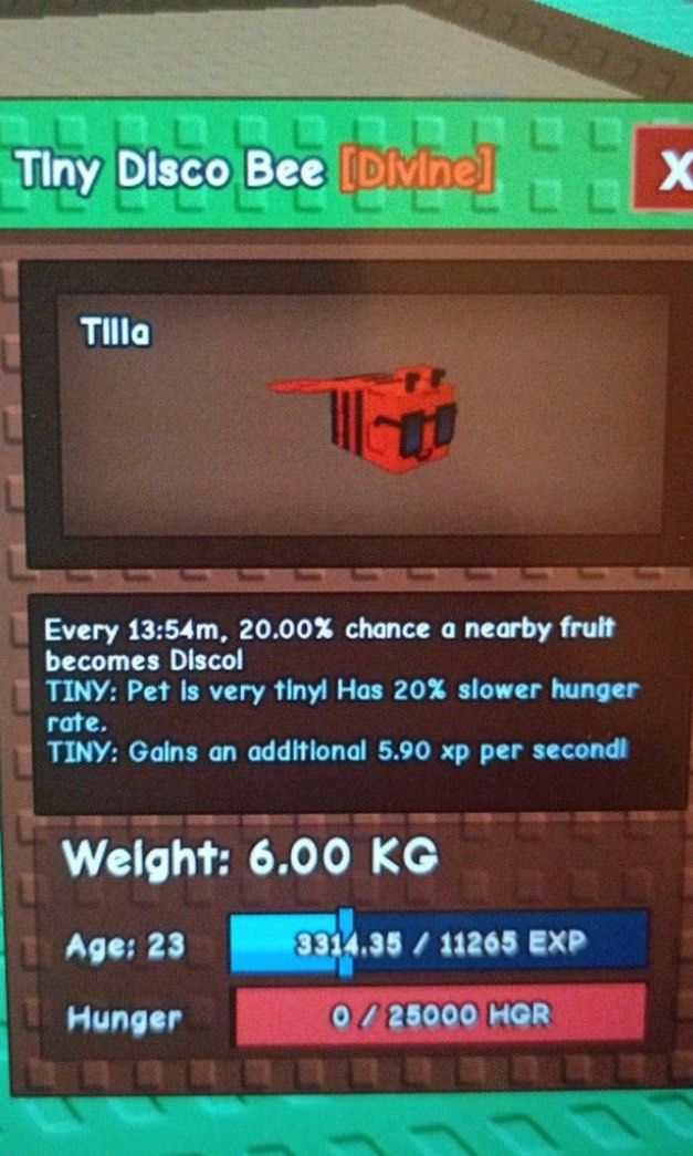 Tiny Disco Bee (Category: In-Game Products) located in Kuching. Submitted by cat_delicacies (Listing ID 1383368189, Image 3). Description: SO CUTE!! come buy buy Age 19 Around 5KG TNG OR BANK IN.