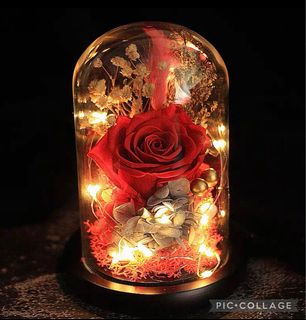 (Category: ) located in . Submitted by lovely_indulgence (Listing ID 1384679934, Image 1). Description: .