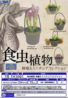 （分類：）位於 。 由 ccccchhee 提交（商品編號 1384919974，圖片 1）。簡介： 。
