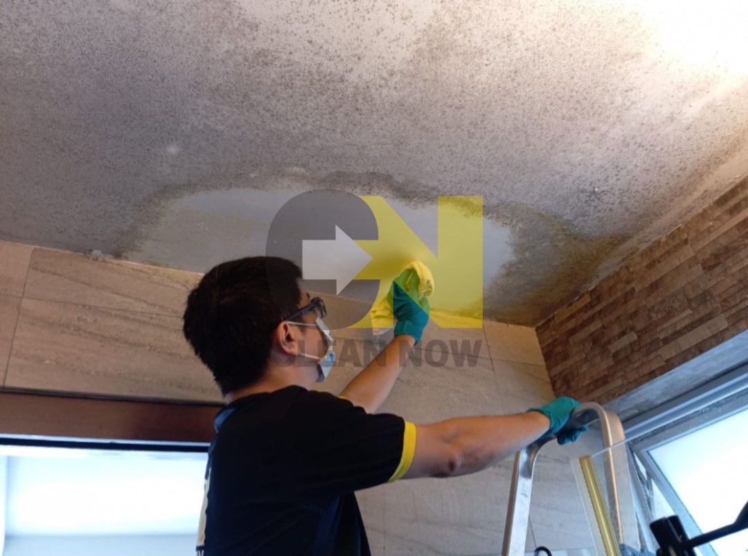 (Category: ) located in . Submitted by cleannow (Listing ID 1324346154, Image 1). Description: .