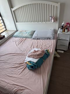 （分類：）位於 。 由 conghealth 提交（商品編號 1385011848，圖片 1）。簡介： 。