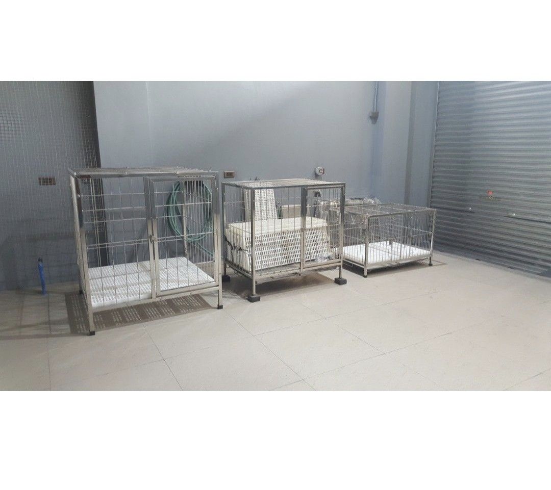 Bnew Stainless Steel Dog Cage (Category: Homes & Other Pet Accessories) located in Manila. Submitted by goti1 (Listing ID 1384870151, Image 2). Description: brand new 3 x 3 x 3 1/2 stainless 304 dog cage collapsible manila area 12,500.