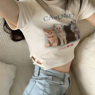 （分類：）位於 。 由 japjapjappjap 提交（商品編號 1385001543，圖片 1）。簡介： 。