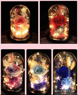 (Category: ) located in . Submitted by lovely_indulgence (Listing ID 1384882875, Image 1). Description: .