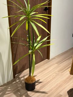 由 n8701031 (刊登 ID 1385214006，圖片 1) 提交，位於 的 (類別：)，說明：。