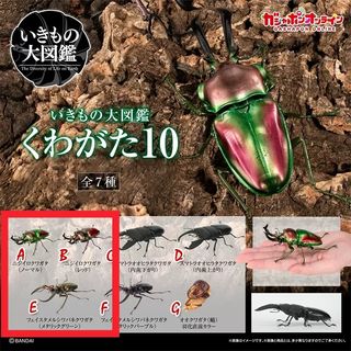 （分類：）位於 。 由 aswe123 提交（商品編號 1385210545，圖片 1）。簡介： 。