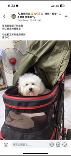由 bc7ymqwtj767468 (刊登 ID 1385207491，圖片 1) 提交，位於 的 (類別：)，說明：。