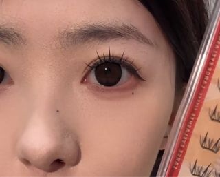 由 a554919259201 (刊登 ID 1385229708，圖片 1) 提交，位於 的 (類別：)，說明：。