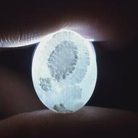 (Kategori: ) berada di . Dikirim oleh hadescarte14921 (ID iklan 1385101526, Gambar 1). Deskripsi: .