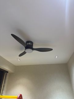 (Category: ) located in . Submitted by euphoria08 (Listing ID 1385165980, Image 1). Description: .