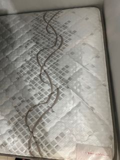 （分類：）位於 。 由 silvercat_6bb5b2 提交（商品編號 1385184506，圖片 1）。簡介： 。