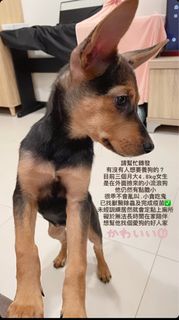 由 wellllllllllcome (刊登 ID 1385286532，圖片 1) 提交，位於 的 (類別：)，說明：。