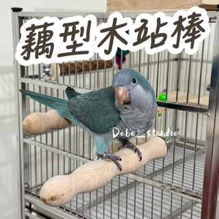 由 ai422917 (刊登 ID 1385331801，圖片 1) 提交，位於 的 (類別：)，說明：。