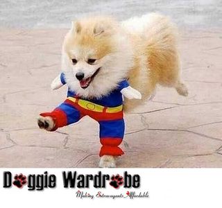 (Category: ) located in . Submitted by doggiewardrobe (Listing ID 1385339846, Image 1). Description: .