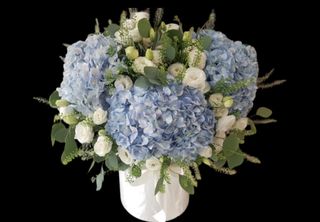 (Category: ) located in . Submitted by kurefloralsgsg (Listing ID 1385304500, Image 1). Description: .