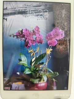 （分類：）位於 。 由 eliza232672 提交（商品編號 1385309538，圖片 1）。簡介： 。