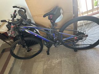 (Category: ) located in . Submitted by aquinojuli09377 (Listing ID 1385383640, Image 1). Description: .